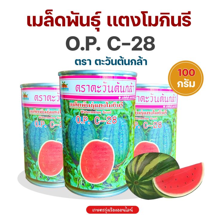 เมล็ดพันธุ์แตงโม กินรี O.P. C-28 60/100 กรัม