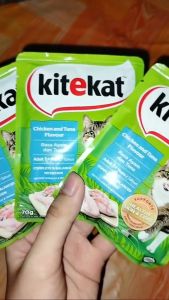 KITEKAT All Stages Adult Kitten Cat Wet Food Cats Snack Pouch 70g