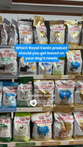 8kg Royal Canin Mini Adult Dog Kibbles Dry Food Small Breeds Coat Shine Digestive Skin Care