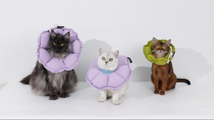 HiDREAM Premium Quality Pet Dog Cat Protective Collar Dog Cat E Collar neck Adjustable Pet Flower Collar Cat Recovery Collar Dog Anti-Licking Headgear Anti-bite Healing Cat Neck.