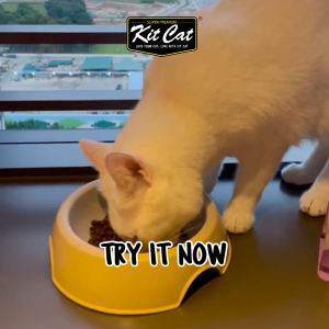 Kit Cat No Grain Dry Cat Food (1kg / 10kg)  | Complete & Balanced Diet