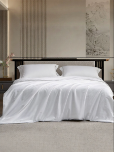 TAIHU SNOW | 100% Double Cocoon Silk Spring & Autumn Quilt
