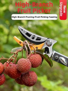 MYTEC | High-Reach Fruit Picking Scissors