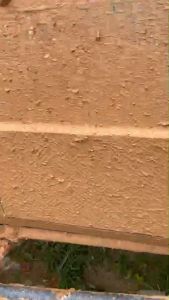 โฟมเคลือบสีพร้อมสลายคราบ PPcarwash (แพ็ค 3 แกนลอน) แถมฟรีๆ 1 แกนลอน