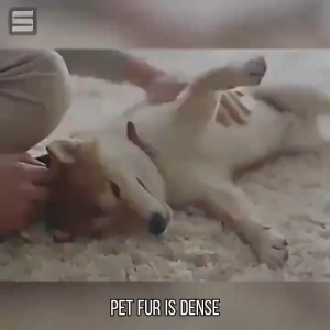 No more itching for pets Fleas and Ticks Spray for dog/cat 500ML Plant-based formula 100% safe to lick anti ticks and fleas for dogs anti tick and flea for cat ticks and fleas killer for dog tick and flea treatment