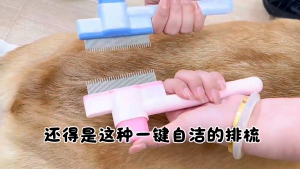 Dụng cụ chải lông loại bỏ lông rụng massage và loại bỏ bọ chét lược tự làm sạch cho thú cưng