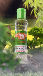 Minyak Kayu Putih Cap Gajah Semua Ukuran 180 ML 120 Ml 60 Ml 30 Ml 15 Ml Meringankan Sakit Perut Perut Kembung Gejala Masuk Angin Gatal-Gatal Akibat Gigitan Serangga