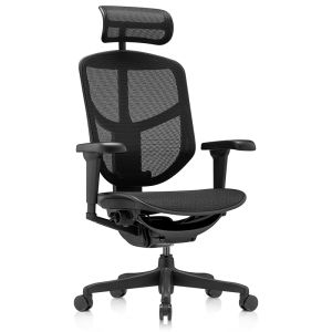 Ergonor | Ergonomic Computer Chair Comfortable Adjustable Reclining