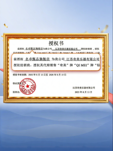 Qimei | Starter Childrens German Flute High Pitch