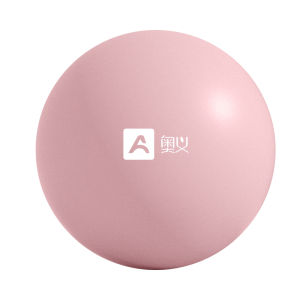 AOYI | Pelvis & Suspension Exercise Yoga Ball For Pilates