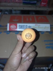 Bola Tenis Meja SHIELD101 1Pack/6Pcs