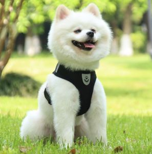 PS-439 สายจูงรัดอกสัตว์เลี้ยง หมา แมว สายจูงสุนัข แมว เสื้อรัดอก สายจูง หมา แมว ราคาถูก พร้อมส่ง