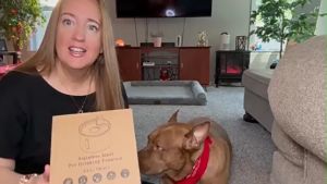 3.2L Cat Drinking Fountain Automatic Stainless Steel Pet Fountains Water Dispenser Ultra Quiet Pump Water Foutain for Multiple Pets