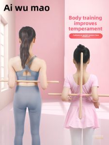 aiwuge | Posture Correction Shoulder & Back Stretch Training Stick