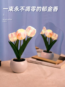 Romantic Tulip Night Lamp Decoration Creative Gift Box Teachers Day Birthday Present for Girlfriend Female Friend Practical High-End Feeling