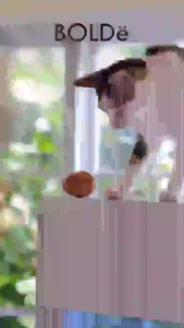 Bolde Squash Mop 2 in 1