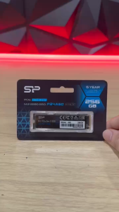 Ổ Cứng SSD Silicon Power A60 128GB/256GB/512GB/1TB (M2.PCIe 3x4) - Hàng Chính Hãng