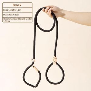 Anti-Burst Leash for Large Dogs