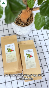 Trà lá mâm xôi túi lọc trà mâm xôi rừng hỗ trợ làm dày niêm mạc IVF - Chợ Thảo Dược Việt