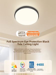 NVC | Modern Creative Circular Ceiling Light for Indoor Use