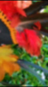 Bando Mahkota Bulu Ayam & Hiasan Kepala Tari Karnaval