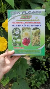 [Freeship Max] MKP 0-52-34 phân hóa mầm hoa cực mạnh sử dụng cho xoài mận cam quýt hộp 1kg_THIEN THINH SHOP