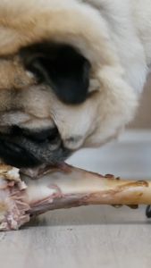 Petsup Freeze Dried Feast: Natural Healthy Pet Food & Toppings