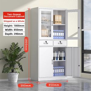 MOLORE | Thick Metal Document Storage Cabinet With Lock