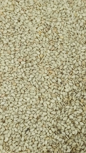 白芝麻 250g White Sesame seed Biji Bjian Putih 芝麻