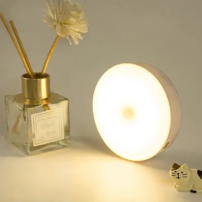 Night Light Button Sensing Small Lamp Bedroom Magnetic Absorption Study Desk Lamp Eye Protection Rechargeable Portable Bedside Adjustable Brightness