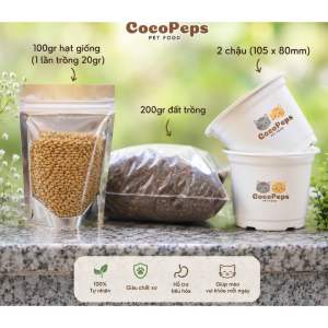 Cỏ mèo tươi - Set trồng cỏ mèo hạt giống cỏ mèo giúp mèo tiêu búi lông