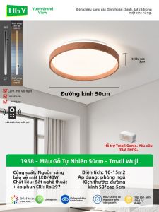 DGY | Đèn Trần Hình Tròn Đơn Giản