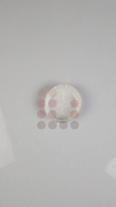 CUP CAKE | CAKE CASES BULAT ISI 50 PCS | FOOD GRADE | ECO FRENDLY