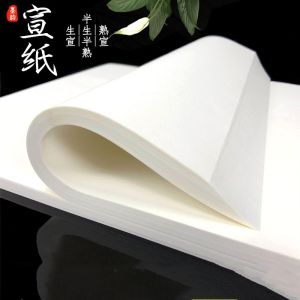Semi-Cooked Semi-Mature Xuan Paper Calligraphy Special Paper Traditional Chinese Painting Raw Xuan Brush Writing Practice Paper Four Feet Beginners
