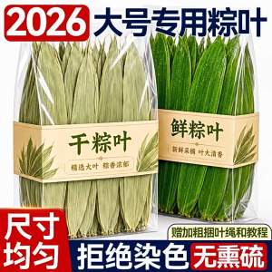 Fresh Large Dried Bamboo Leaves suitable for wrapping zongzi
