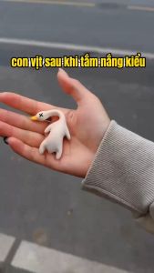 ( Tặng Dây ) Đồ chơi vịt nướng đổi màu Vịt vô tri đổi màu mới lạ Vịt quay móc khóa ngộ nghĩnh