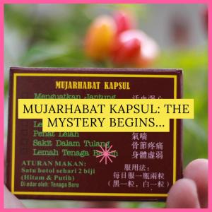10 Box Mujarhabat Kapsul Joint Relief Formula Health Supplement with Deer Herbs and Skeleton Illustration