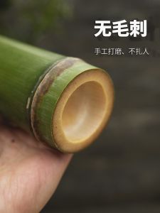 Chinese Style Bamboo Pipe Flower Arrangement Fresh Green Small Bamboo Handicraft Decoration Woven Basket Environment Creation Shooting Flower Device