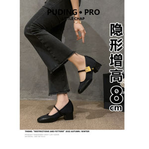 รองเท้าส้นสูง Mary Jane ส้นหนาสไตล์ย้อนยุคสำหรับผู้หญิง ส้นสูงในตัว รองเท้าส้นแบนแบบสวมหัวเหลี่ยม พื้นยางกันลื่น รองเท้าแฟชั่นฤดูใบไม้ผลิและฤดูใบไม้ร่วง