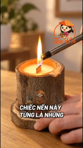 Nến Thơm Gỗ Nhãn - Tim Gỗ Sáp Thơm Tư Nhiên Tái Sử Dụng Thành Chậu Cây (Tặng kèm charm trang trí)