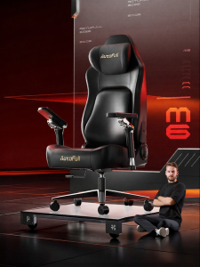 Ergonomic E-sports and Office Chair