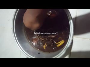 iki rooster arak ayam cap naga hitam & 23 herbal alami