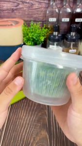 Toples Tirisan Bawang Sayur Kotak Transparan Saringan Toples Penyimpanan / Kotak Wadah Tempat Penyimpanan Serbaguna Tempat Bumbu Dapur Termurah Terbaru Promo - Lazada