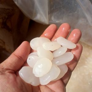 Kolang Kaling Cangkaleng Asli Ciamis Segar Netto 1 Kg Siap Konsumsi Manisan Kolak Es campur