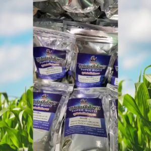 กำจัดเชื้อรา  2 ซอง เชื้อแบคทีเรีย ไคโตซานแท้ โรคพืช รากเน่า โคนเน่า หมดปัญหากวนใจ โรคหน้าฝน โรคโคนเน่ารากเน่า พริกเน่า โรคกุ้งแห้ง แครงเกอร์ มะนาว ข้าวโพด ข้าว วัคซีนพืชซุปเปอร์ไบโอฟิต ไคโตซานผง ชีวภาพ ปลอดภัย กำจัดโรคออแกนิค