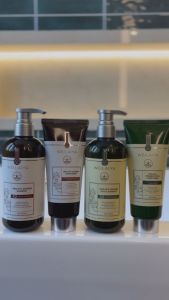 Phiên Bản Cao Cấp Bộ Gội Xả Gừng Detox Hỗ Trợ Mọc Tóc & Ngăn Lão Hóa Da Đầu Gội 420ml Xả 200ml)