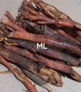 Akar pinang segar original akar pohon pinang