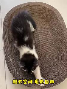 หลับเล็บแมว รูปอ่าง ฝนเล็บแมว ของเล็งแมว เป็นที่นอนแมวไปในตัว แคปนิท ที่ลับเล็บ ที่ลับเล็บแมว ที่ฝนเล็บแมว