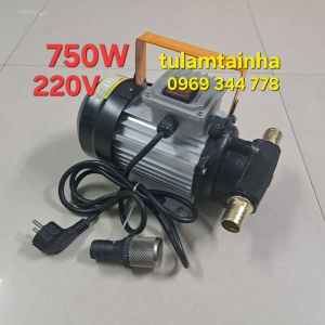 Máy bơm dầu diesel/nhớt 750W