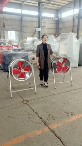 BSBOSS Wall Type Industrial Light Duty Exhaust Fan (8"/10"/12"/14"/16") Original/Official/100% Authentic